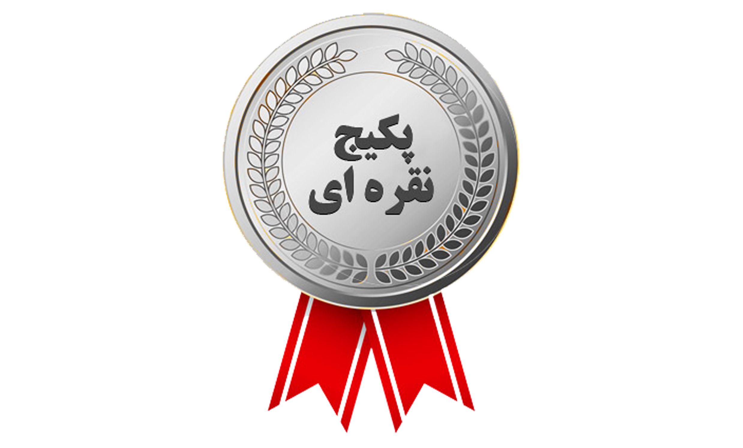پکیج نقره ای کنکور سال آینده 1405 - 1404(سه درس تخصصی+مشاوره +آزمون+بوستر)