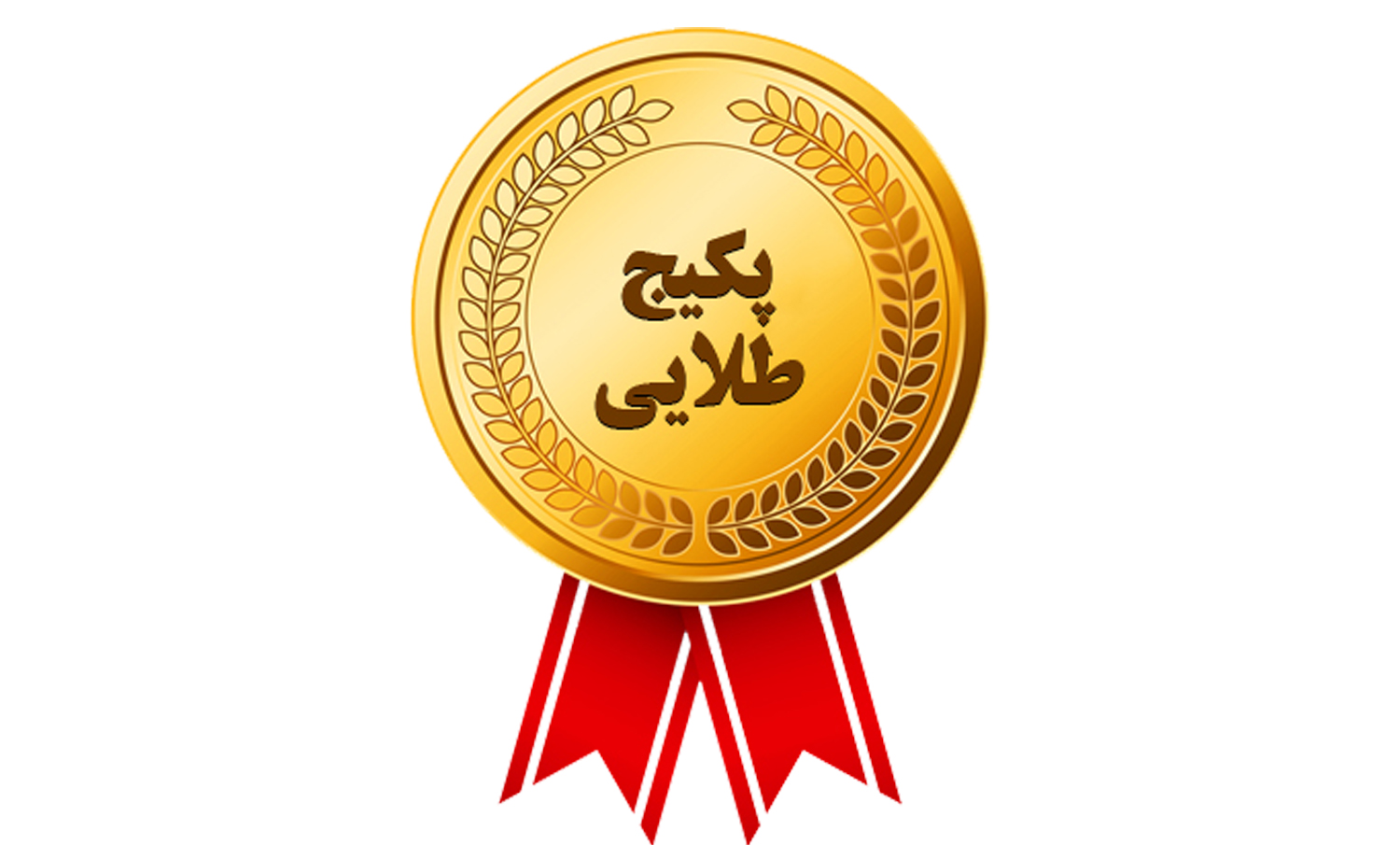پکیج طلایی 10 دهم سال تحصیلی 1405 - 1404(کلیه دروس تخصصی + مشاوره +آزمون+بوستر+پکیج امتحان نهایی)