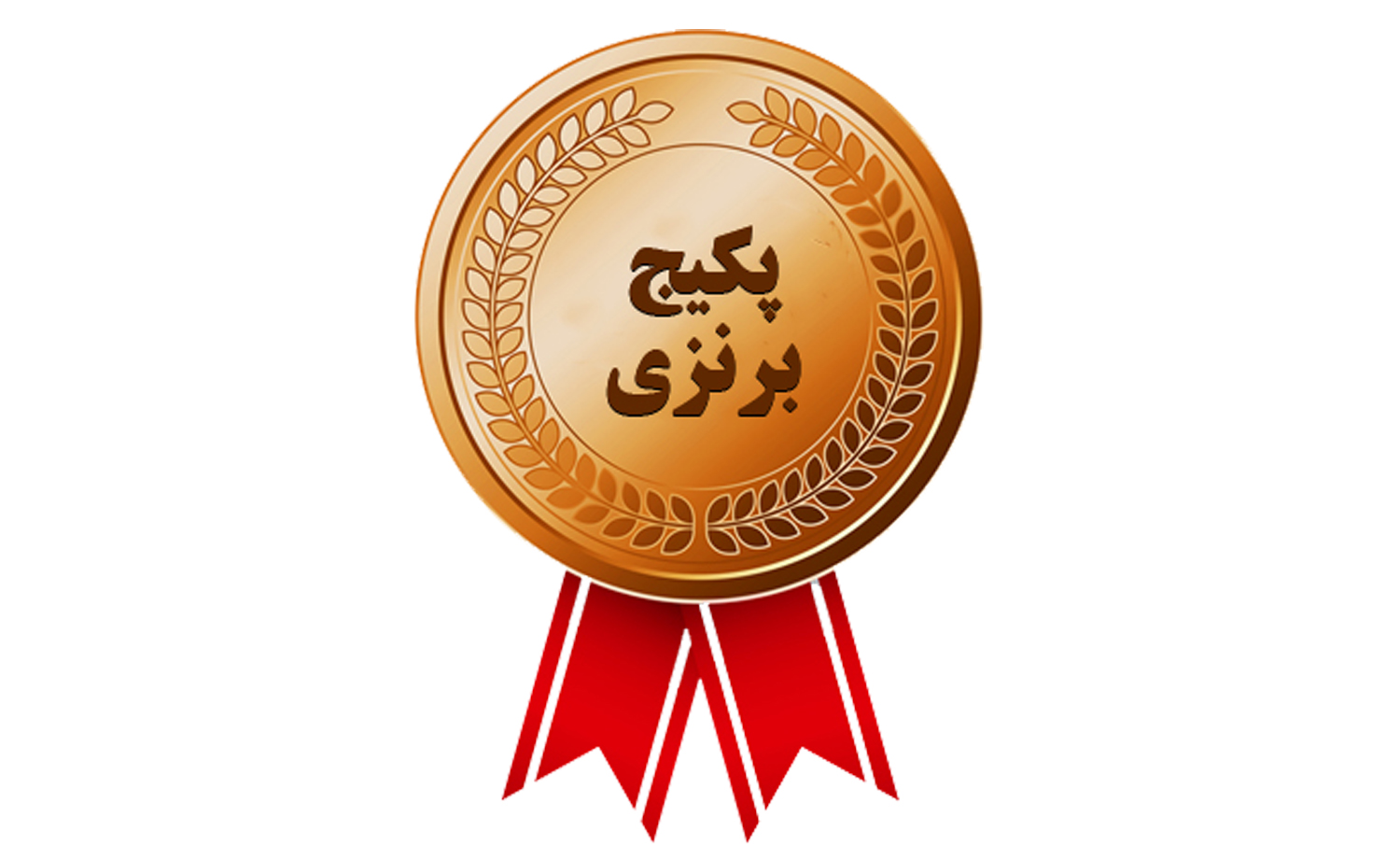 پکیج برنزی دهم سال آینده 1405 - 1404(دو درس تخصصی+ مشاوره +آزمون)