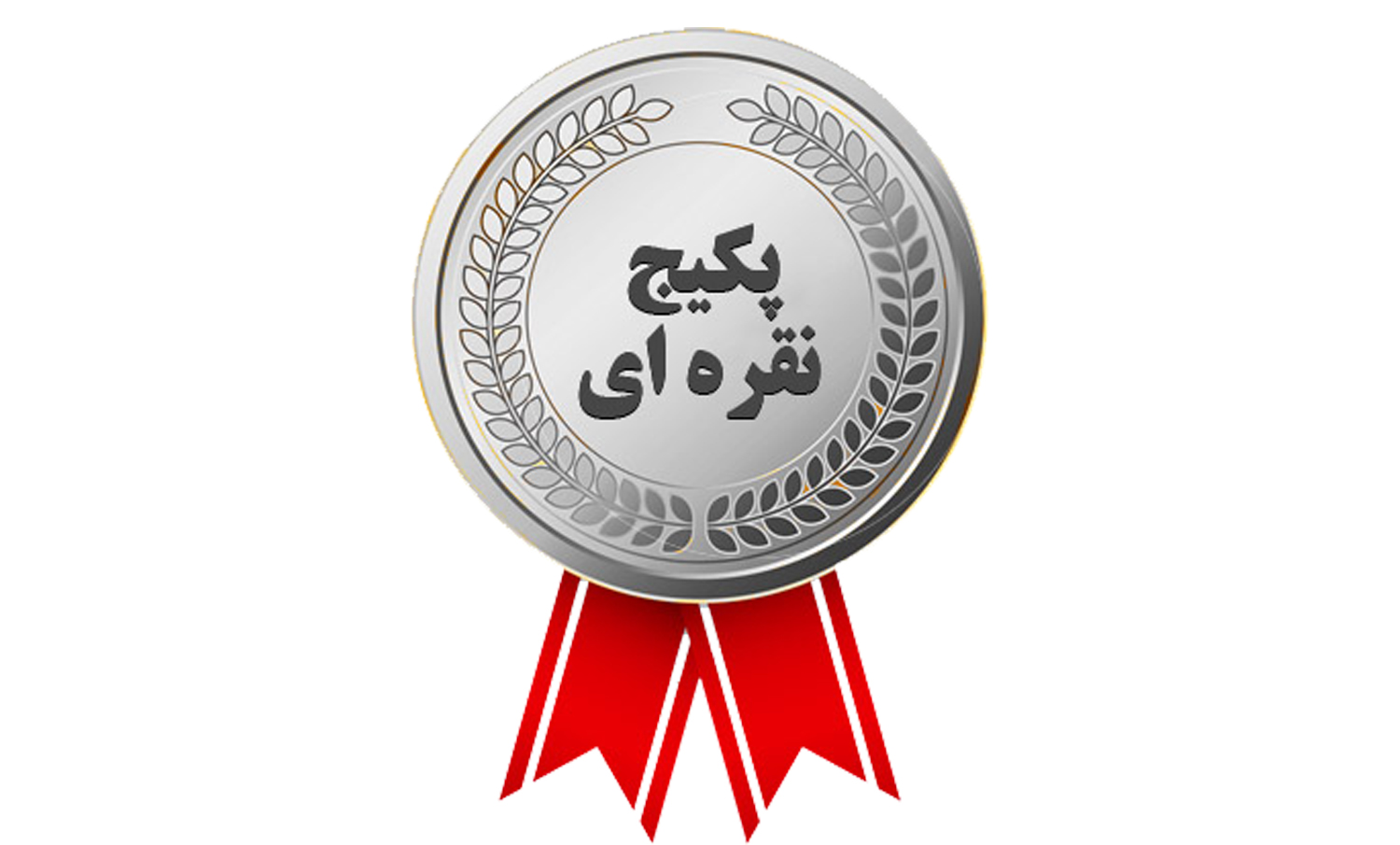 پکیج نقره ای دهم سال تحصیلی 1405 - 1404(سه دروس تخصصی + مشاوره +آزمون+بوستر)